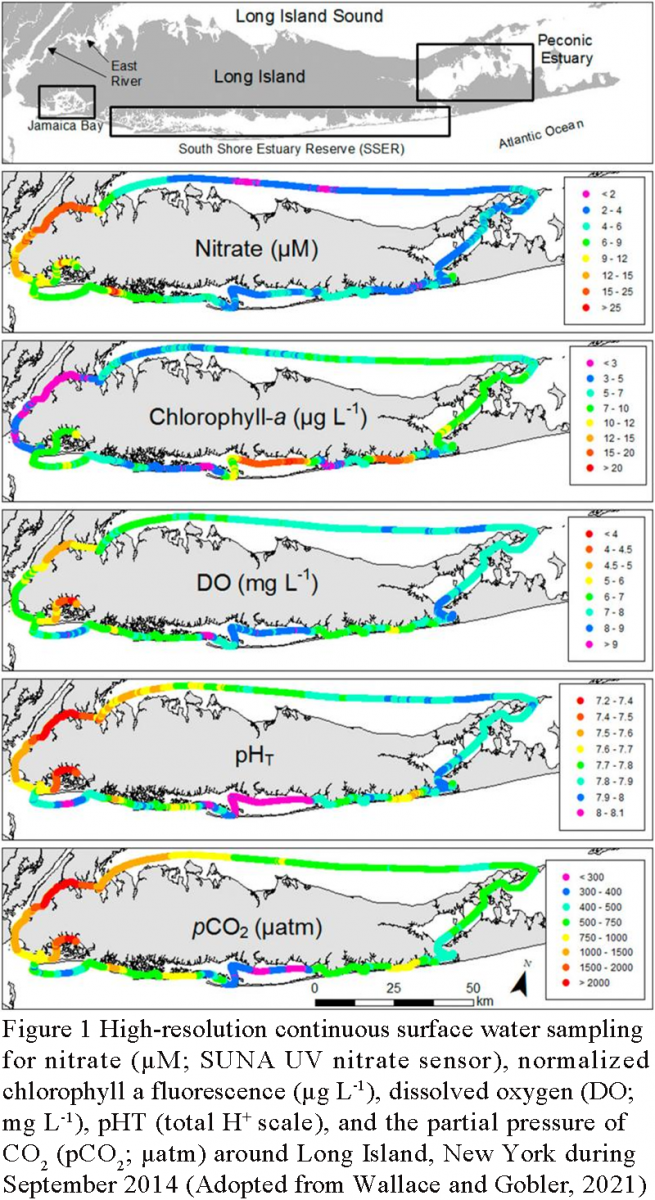 Eutrophication Mechanisms and Their Impacts on Coastal Marine