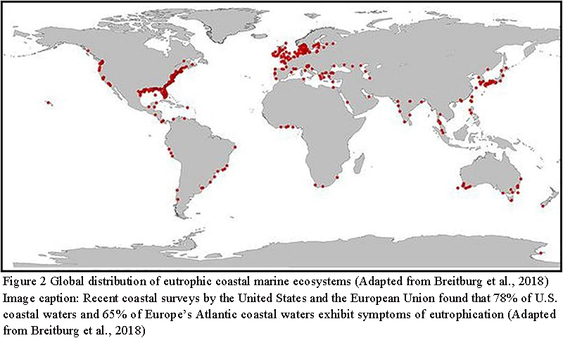 Eutrophication Mechanisms and Their Impacts on Coastal Marine